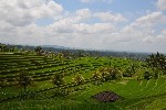 Bali 3 (1) - kopie_245654.jpg