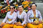 Bali 6 (2) - kopie_245666.jpg