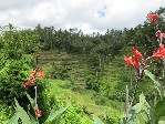 Indonésie, Bali, Bali, Indonésie, Bali, Kuta - Bali - ostrov bohů