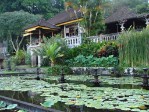 Hotel Na skok na Bali dovolená