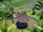 Hotel Na skok na Bali dovolená