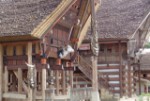 JBS-tor (10) - kopie_211793.JPG