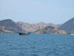 Komodo