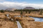 Western Way trail