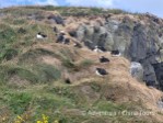 Hotel Laugavegur – nejkrásnější islandský trek dovolená