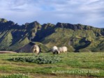 Hotel Laugavegur – nejkrásnější islandský trek dovolená