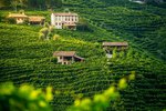 Valdobbiadene