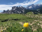 IMG_4537