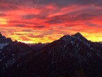Itálie, Friuli Skiregion, Itálie, Friuli Skiregion, Valbruna - RODODENDRO