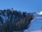 Itálie, Friuli Skiregion, Itálie, Friuli Skiregion, Valbruna - RODODENDRO