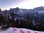 Itálie, Friuli Skiregion, Itálie, Friuli Skiregion, Valbruna - RODODENDRO