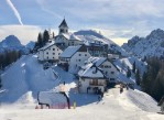 Itálie, Friuli Skiregion, Itálie, Friuli Skiregion, Valbruna - RODODENDRO