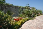 Itálie, Ischia, Forio - IMPERAMARE