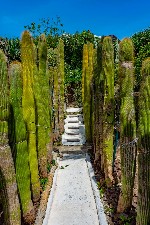 Hotel Termální bohatství ostrova Ischia dovolená