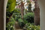 Itálie, Ischia, Ischia Porto - Grand Hotel il Moresco - zahrada