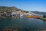 Itálie, Ischia, Sant Angelo - LA PALMA