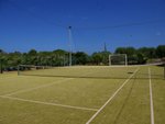Tenis