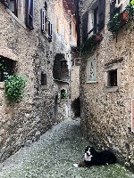 Itálie, Lago di Garda, Malcesine - Léto u alpského jezera Lago di Garda - POBYTOVÝ S VÝLETY