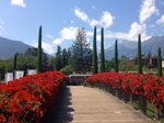 Itálie, Lago di Garda, Malcesine - Rozkvetlé Dolomity a Lago di Garda - POBYTOVÝ S VÝLETY