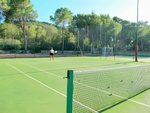 Tenis