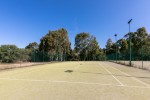 Tenis