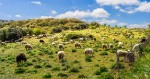 Hotel Turistika divokou Sardinií dovolená