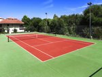 Tenis