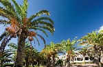 Zahrada