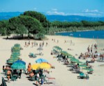 Hotel CAMPING VILLAGE BELVEDERE PINETA dovolenka