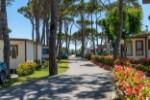 Hotel Camping Cavallino dovolená