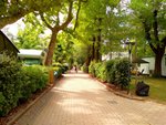 (Itálie, Severní jadranské pobřeží, Lignano) - CAMPING SABBIADORO: 5denní akční pobyt ve všední dny