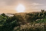 Zahrada