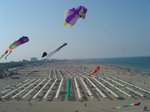 Hotel MARE E PINETA INTERNATIONAL CAMPING dovolená