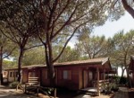 Camping Village Oasi - Albinia