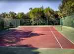 Tenis