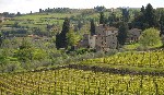 Hotel Villa Pitiana dovolená
