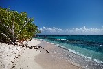 Ostrov Lime Cay