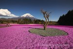 Hotel Magická zákoutí Japonska dovolená