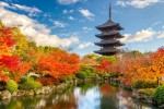 Japonsko, Kantó, Kantó - TO NEJLEPŠÍ Z JAPONSKA + BAREVNÝ PODZIM + TRADIČNÍ LÁZNĚ (LETECKY Z PRAHY)