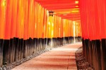 Japonsko, Kantó, Kantó - TO NEJLEPŠÍ Z JAPONSKA + KVĚTINOVÝ FESTIVAL U HORY FUDŽI (LETECKY Z PRAHY)