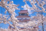 Velká cesta kolem Japonska s návštěvou Jižní Koreje