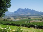 Hotel Jižní Afrika – Kapské Město, víno a národní parky dovolená