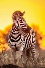 Hotel Jižní Afrika: svět v jedné zemi dovolená