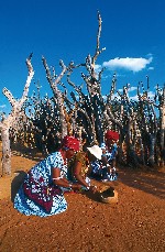 Hotel Jižní Afrika: svět v jedné zemi dovolená