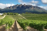 JAR - vinařské oblasti u Kapského města