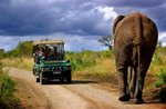 Hotel Safari v Jižní Africe: Národní park Kruger a Panorama Route dovolená