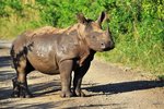 Hotel Safari v Jižní Africe: Národní park Kruger a Panorama Route dovolená