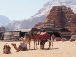 (Jordánsko, Centrální oblast, Amman) - Jógový pobyt v Jordánsku s Janou Novotnou