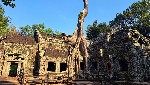 Angkor5