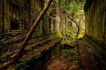 Chrám Ta Prohm pohlcený přírodou